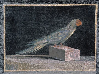 Papegoja mosaik